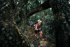 BIB: 
                            <button type="button" onclick="openModal(25392156)" class="btn btn-primary btn-sm float-right btn-popup" data-toggle="modal" data-target=".modal-high-quality">
                        <i class="fas fa-shopping-cart"></i> Add to Cart
                    </button>
                                            <button type="button" onclick="isThisMe(25392156, true)" class="btn btn-success btn-sm float-right btn-popup btn-isme hidden" data-toggle="tooltip" data-placement="bottom" title="นี่คือรูปของคุณใช่ไหม คลิกที่นี่เพื่อเอาเข้าอัลบั้ม">
                        <i class="fas fa-plus"></i> Add to album
                    </button>
                    <button type="button" onclick="isThisMe(25392156, false)" class="btn btn-warning btn-sm float-right btn-popup btn-isnotme hidden">
                        <i class="fas fa-ban"></i> Remove from album
                    </button>